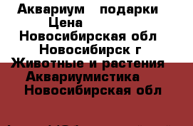 Аквариум   подарки › Цена ­ 23 000 - Новосибирская обл., Новосибирск г. Животные и растения » Аквариумистика   . Новосибирская обл.